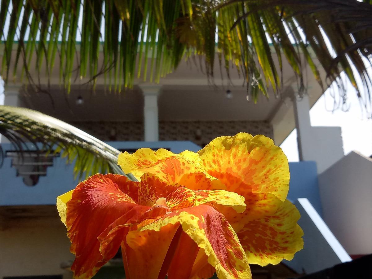 Githmini Beach House And Toures Hikkaduwa Bagian luar foto